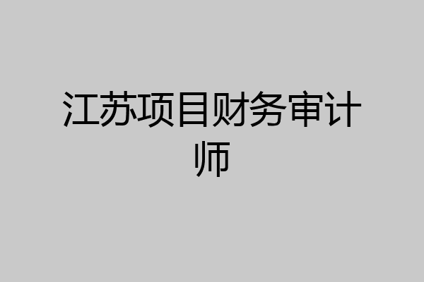 江苏项目财务审计师