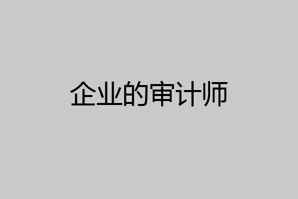 企业的审计师