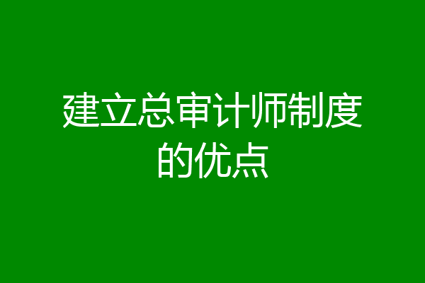 建立总审计师制度的优点