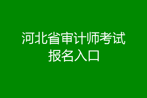 河北省审计师考试报名入口