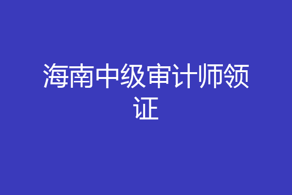 海南中级审计师领证