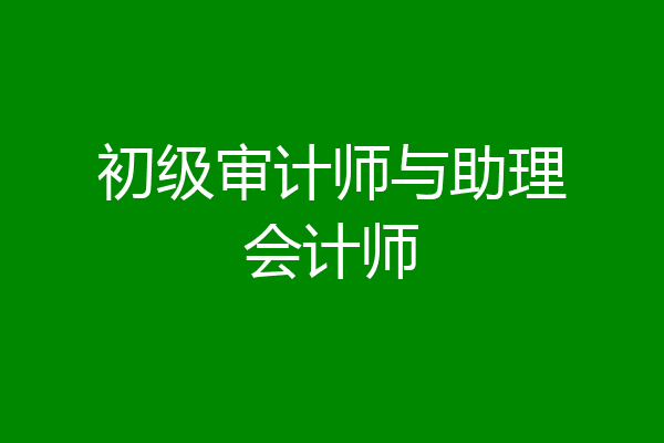 初级审计师与助理会计师