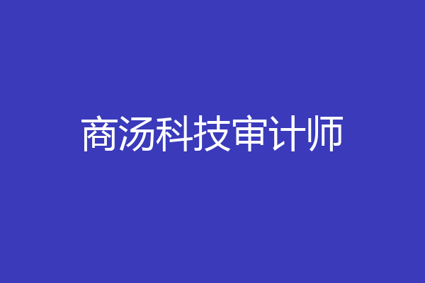 商汤科技审计师