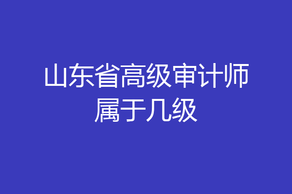 山东省高级审计师属于几级