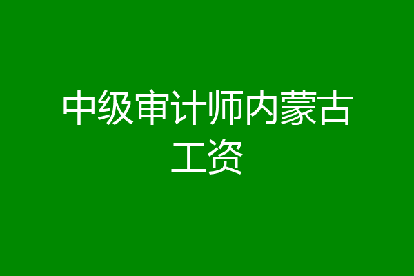 中级审计师内蒙古工资