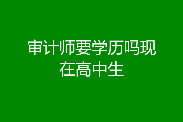 审计师要学历吗现在高中生