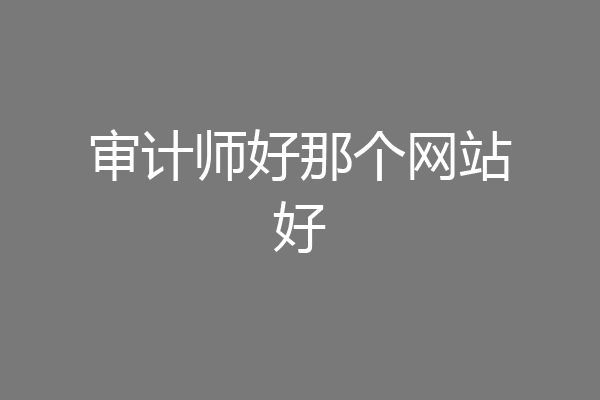 审计师好那个网站好