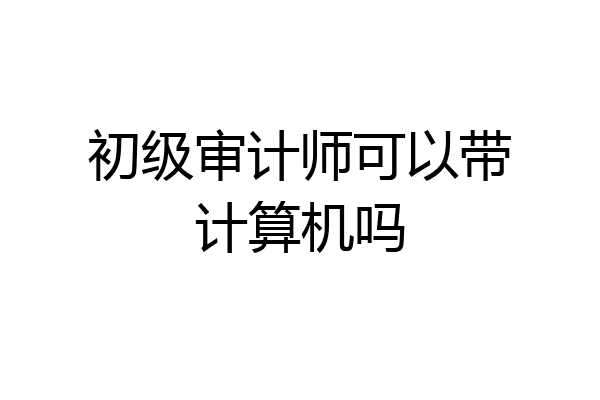 初级审计师可以带计算机吗