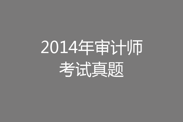 2014年审计师考试真题