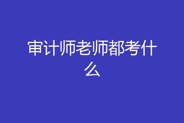 审计师老师都考什么