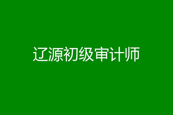 辽源初级审计师