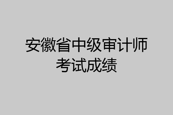 安徽省中级审计师考试成绩