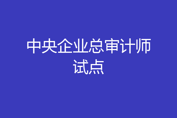 中央企业总审计师试点