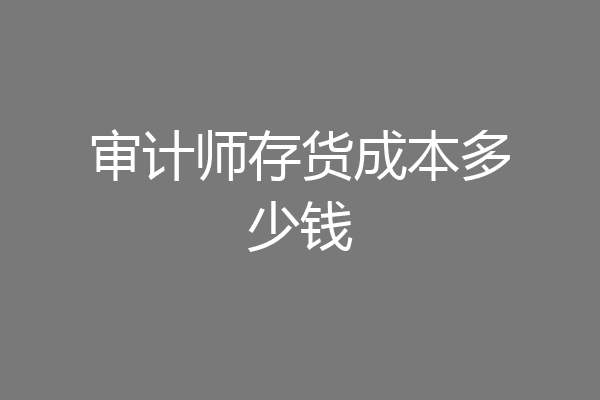 审计师存货成本多少钱