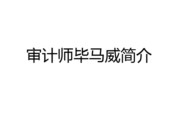 审计师毕马威简介