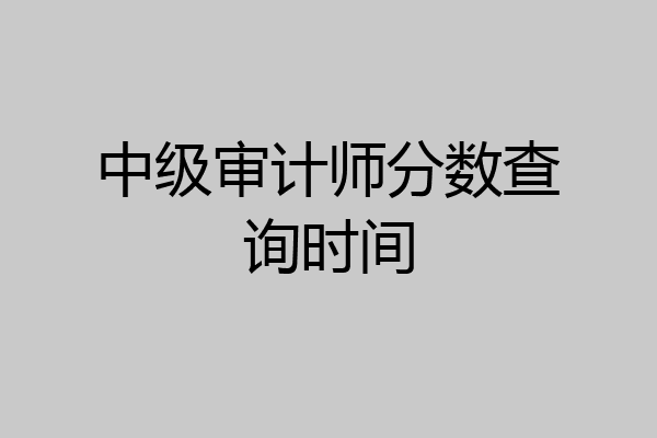 中级审计师分数查询时间
