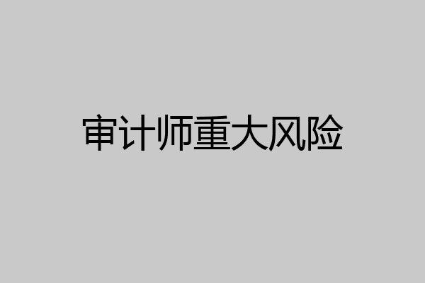审计师重大风险