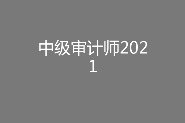 中级审计师2021