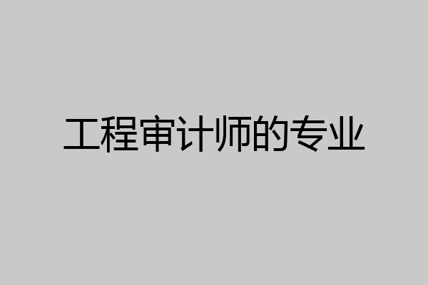 工程审计师的专业
