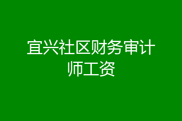 宜兴社区财务审计师工资