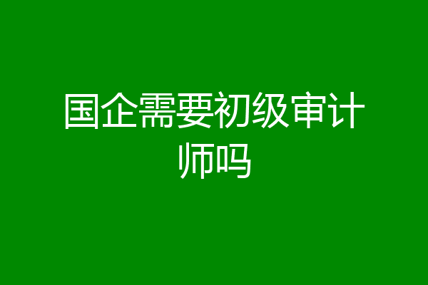 国企需要初级审计师吗