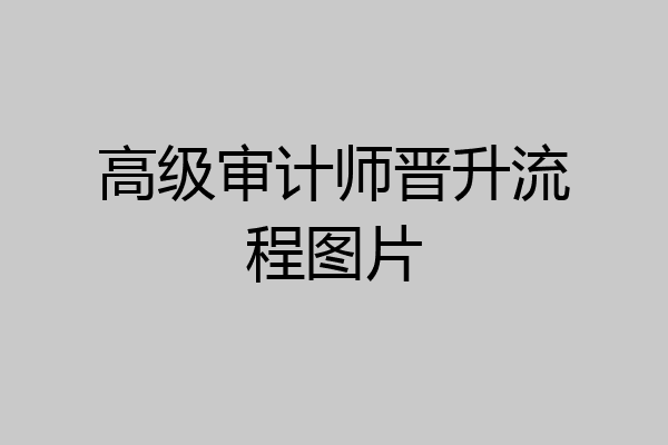 高级审计师晋升流程图片