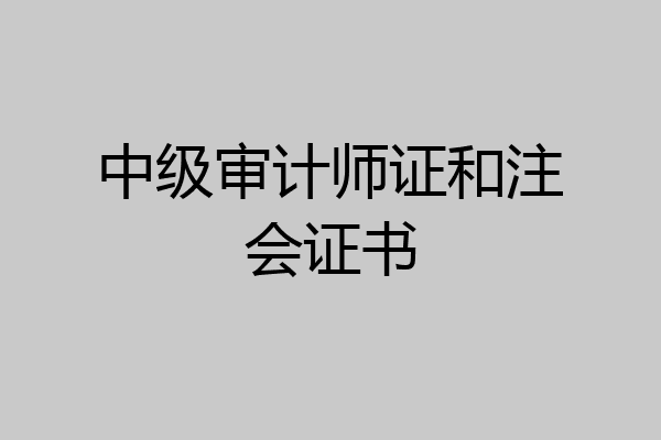 中级审计师证和注会证书