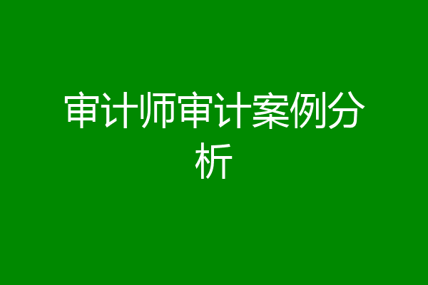 审计师审计案例分析