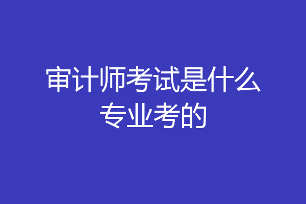 审计师考试是什么专业考的