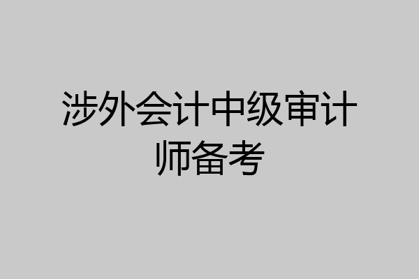 涉外会计中级审计师备考