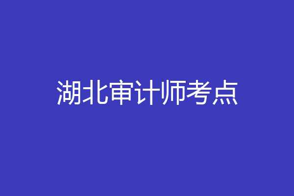 湖北审计师考点