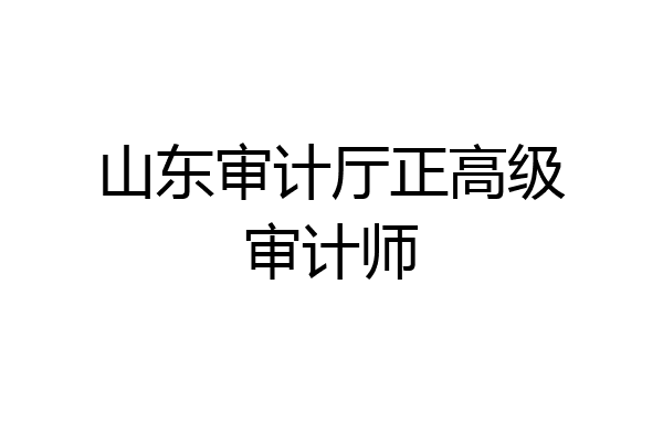 山东审计厅正高级审计师