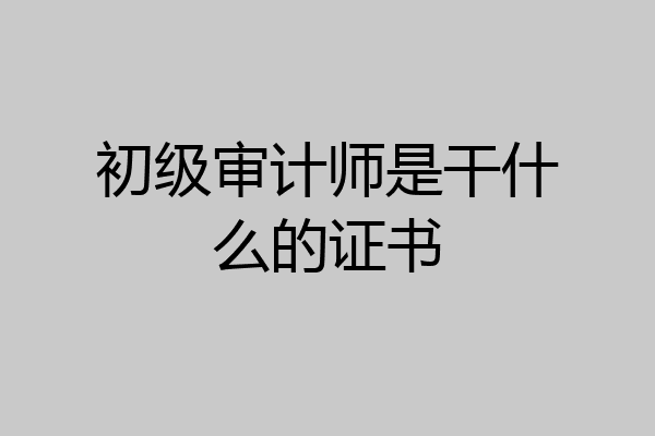 初级审计师是干什么的证书