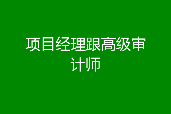 项目经理跟高级审计师