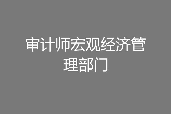 审计师宏观经济管理部门