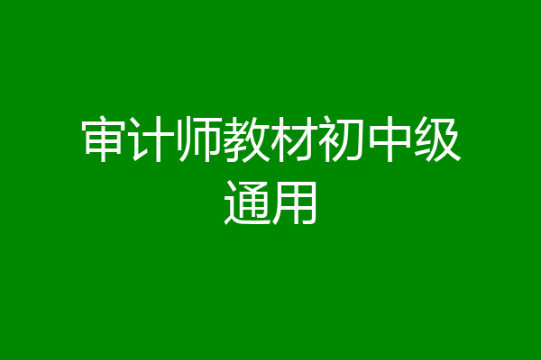 审计师教材初中级通用