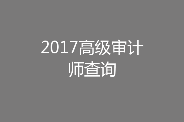 2017高级审计师查询
