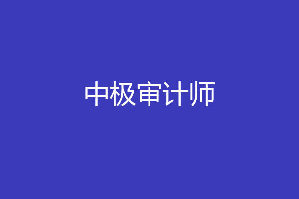 中极审计师