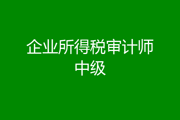 企业所得税审计师中级