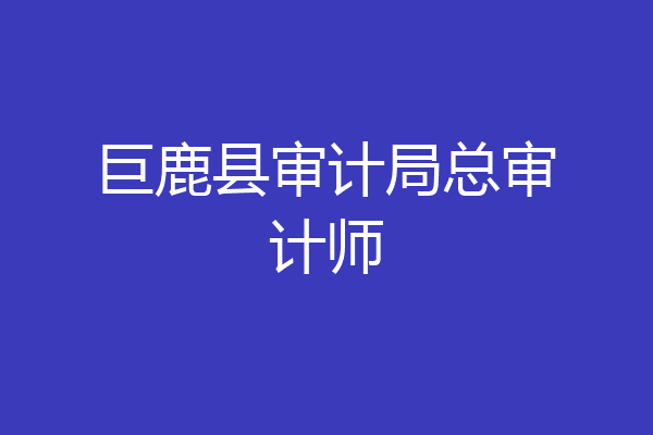 巨鹿县审计局总审计师