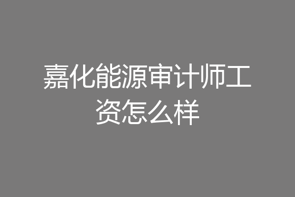 嘉化能源审计师工资怎么样