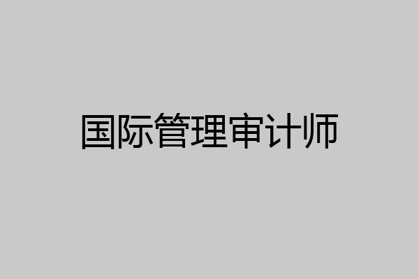 国际管理审计师