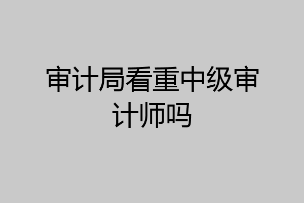 审计局看重中级审计师吗