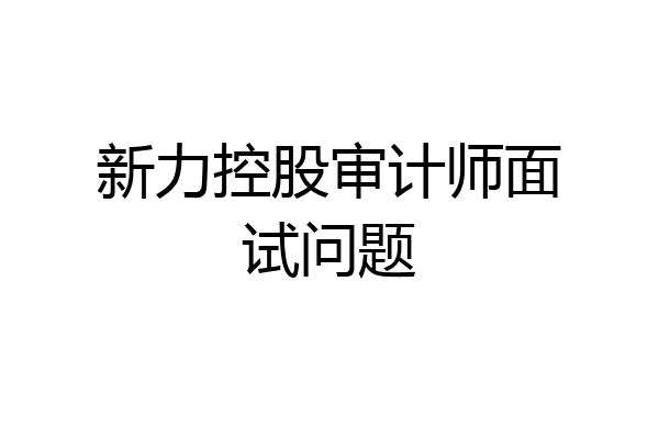 新力控股审计师面试问题