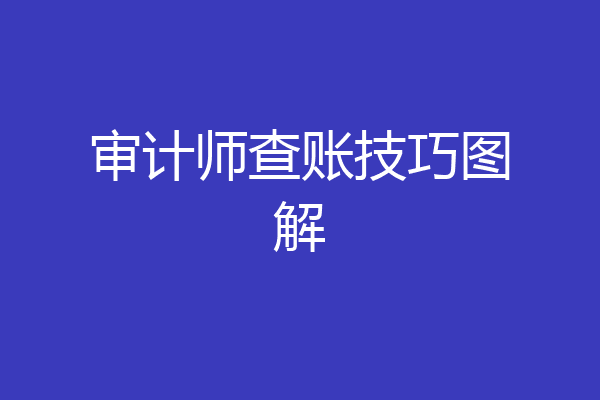 审计师查账技巧图解