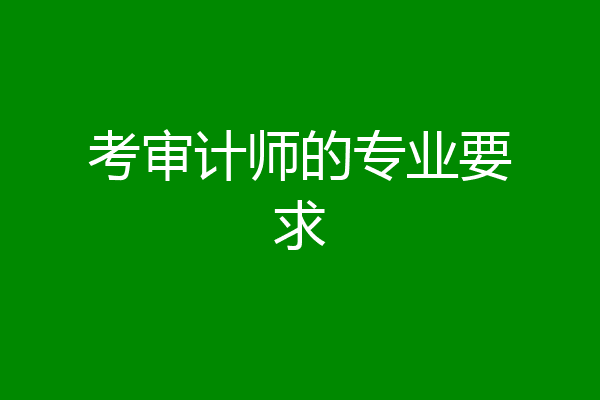 考审计师的专业要求