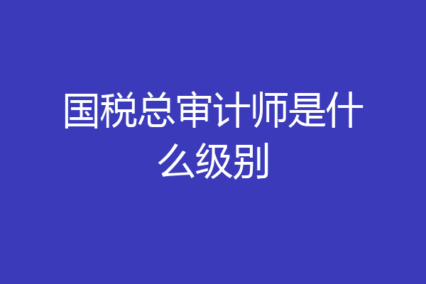 国税总审计师是什么级别