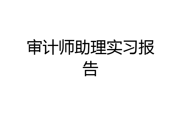 审计师助理实习报告