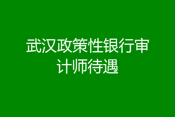 武汉政策性银行审计师待遇