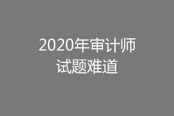 2020年审计师试题难道